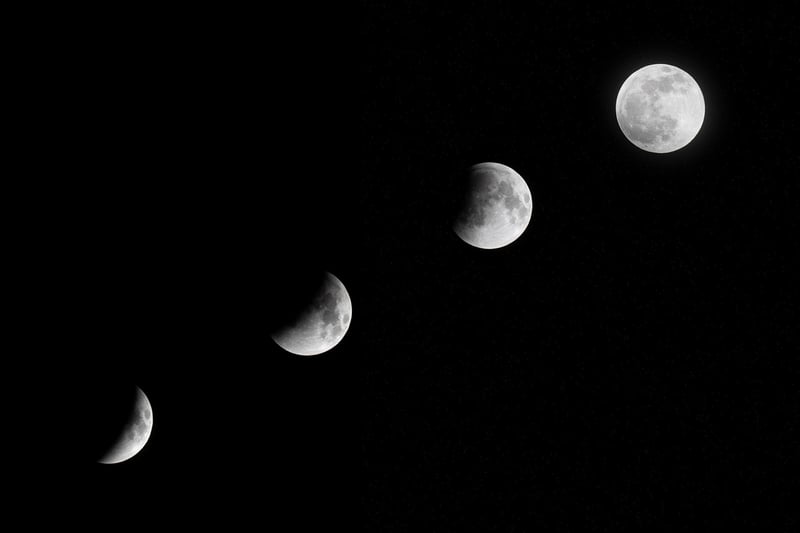 Moon Gardens