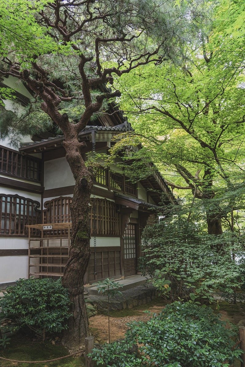 Zen Retreat